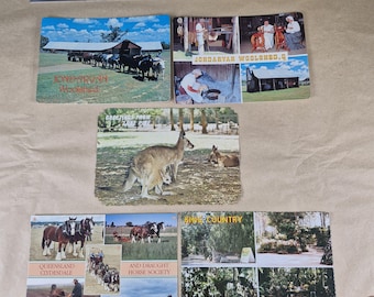 Vintage Queensland Australia Postcards x5 – Lone Pine Koala Sanctuary Jondaryan Woolshed Clydesdales