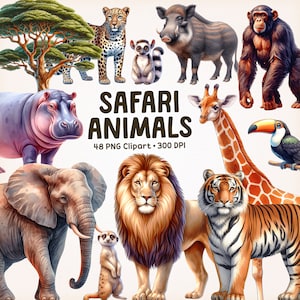 Animales de safari clipart, Animales de safari Png, Animales de la jungla, Animales salvajes, Animales de acuarela, Animales del zoológico, Safari de acuarela Png, León Png