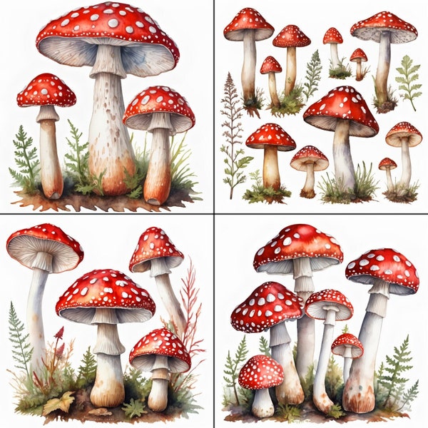 Watercolor Red Mushrooms Clipart In PNG Format For Commercial Use Instant Download Amanita Muscaria Clip Art Fly Agaric Pictures Fungus Pics