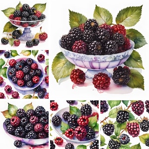 Watercolor Blackberries Clipart PNG Format Commercial Use Instant Download Blackberry Clip Art Fruit Pictures Rubus Fruticosus Still Life