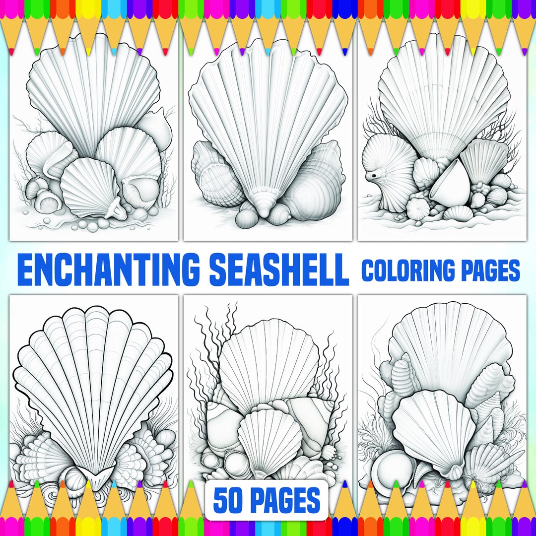 Enchanting Seashell Coloring Pages : Relaxing Page Embrace Calm and