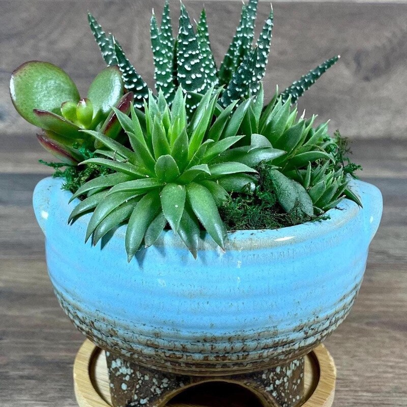 GreenMountainGarden - Etsy