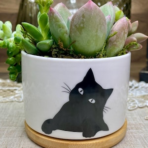 May include: A white ceramic planter with a black cat silhouette, holding a variety of succulents. The planter sits on a round, light-colored wooden base. The succulents feature green and pink hues, adding a natural touch to the decor.