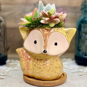 May include: A ceramic fox-shaped planter with a succulent arrangement. The planter is yellow with brown accents and a light tan face. The succulent arrangement includes green, pink, and white plants. The planter sits on a small wooden coaster.