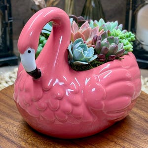 May include: A pink ceramic flamingo planter filled with assorted succulents. The flamingo has a white beak with a black tip and is perched on a wooden base. The succulents are various shades of green, blue, and purple.