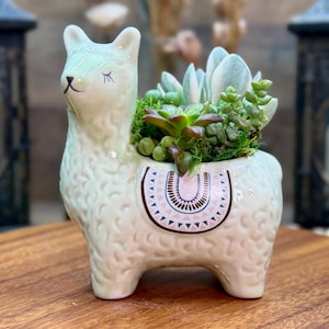 May include: A cream-colored ceramic llama planter with a textured body, closed eyes, and a painted saddle design on its side. The llama holds a variety of green succulents and moss within the opening on its back, creating a decorative plant display.