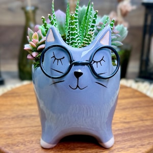 Gray Cat Planter with Live Cactus and Succulent Arrangement