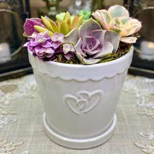 May include: A white ceramic planter with a scalloped rim and two embossed hearts, filled with a variety of succulents in shades of green, purple, and pink. The planter sits on a matching saucer.