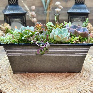 May include: A rectangular galvanized metal planter with two thick jute rope handles, filled with a variety of green, purple, and light-colored succulent plants nestled in moss. The container features a dark rim and horizontal ridges.