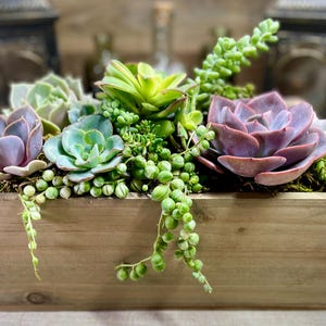 May include: A wooden rectangular planter box filled with various succulents. The succulents display shades of green, purple, and blue-green. Some have round, bead-like leaves, while others have layered petals. The box is made of light-colored wood.