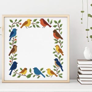 May include: Cross stitch pattern featuring a frame of colorful birds on branches. The birds are blue, yellow, red, and brown. The pattern is perfect for a beginner cross stitcher.
