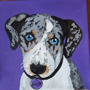 Custom Pet Portraits