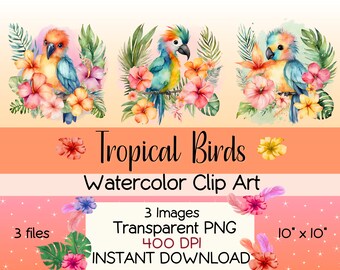 Boho Baby Tropical Birds with flowers Clipart-PNG files INSTANT DOWNLOAD for sublimation, creating and crafting