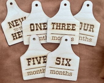 Cow Tag Baby Milestone, Wooden Monthly Milestone, Baby Shower Gift, Cowgirl, Handmade, Cowboy, Cow Milestones, Farm First Year, Western