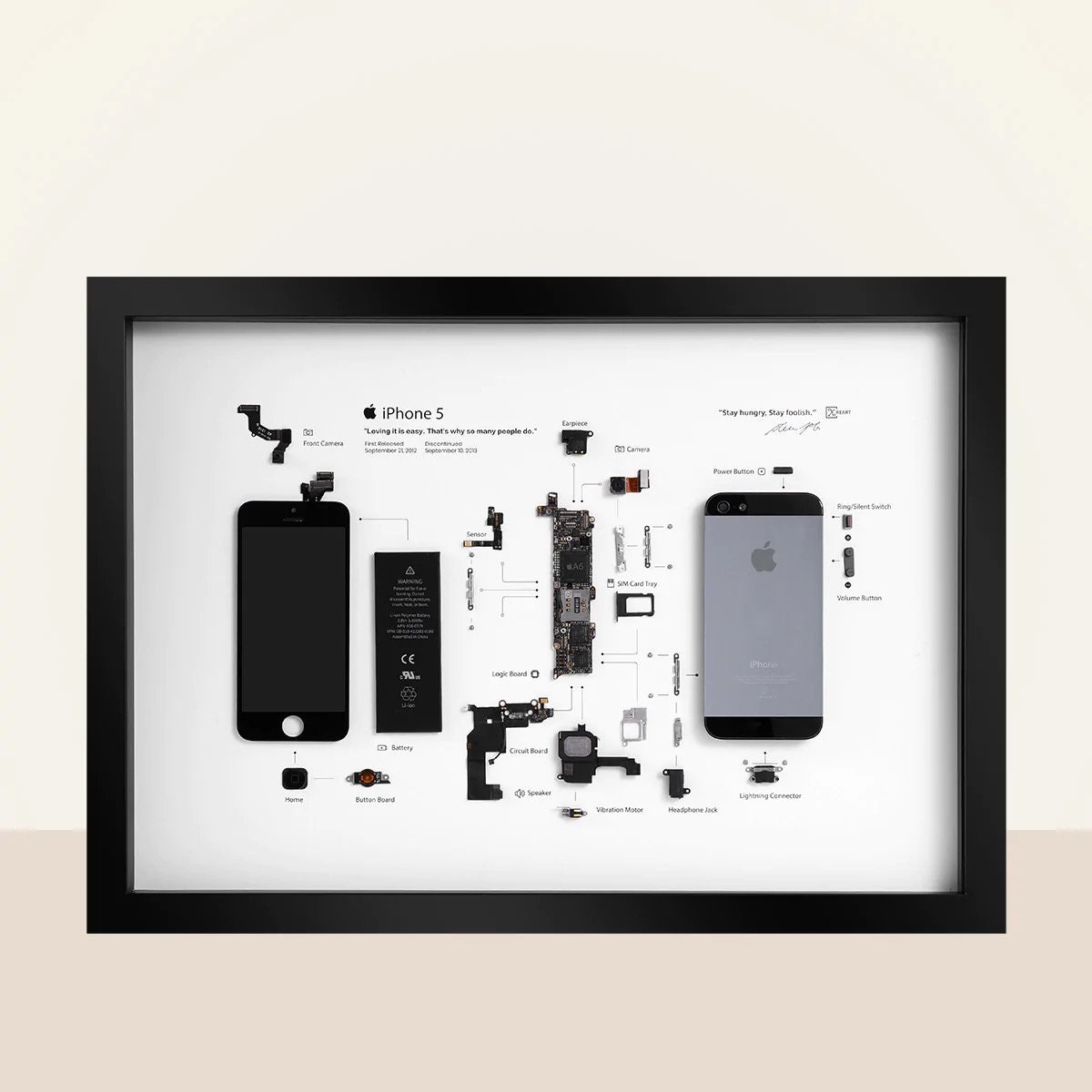 IPhone 5 Teardown Art - Digital Template - Apple - iPhone