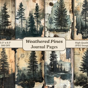 May include: A collection of eight journal pages featuring weathered pine tree illustrations. The pages have a vintage aesthetic with a mix of forest scenes and aged paper textures. Each page is 5.5" x 8.5" and 300 DPI.