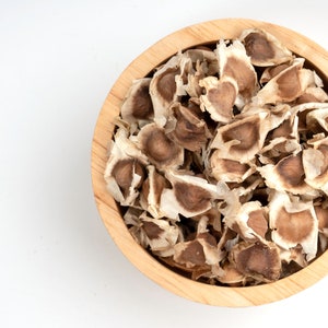 Moringa Tree Seeds - Drumstick Seeds - Moringa - Malunggay - Moringa Oleifera - High Germination Rate - Pkm-1 Variety - NON-GMO - Organic