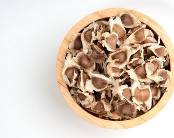 Moringa Tree Seeds - Drumstick Seeds - Moringa - Malunggay - Moringa Oleifera - High Germination Rate - Pkm-1 Variety - NON-GMO - Organic