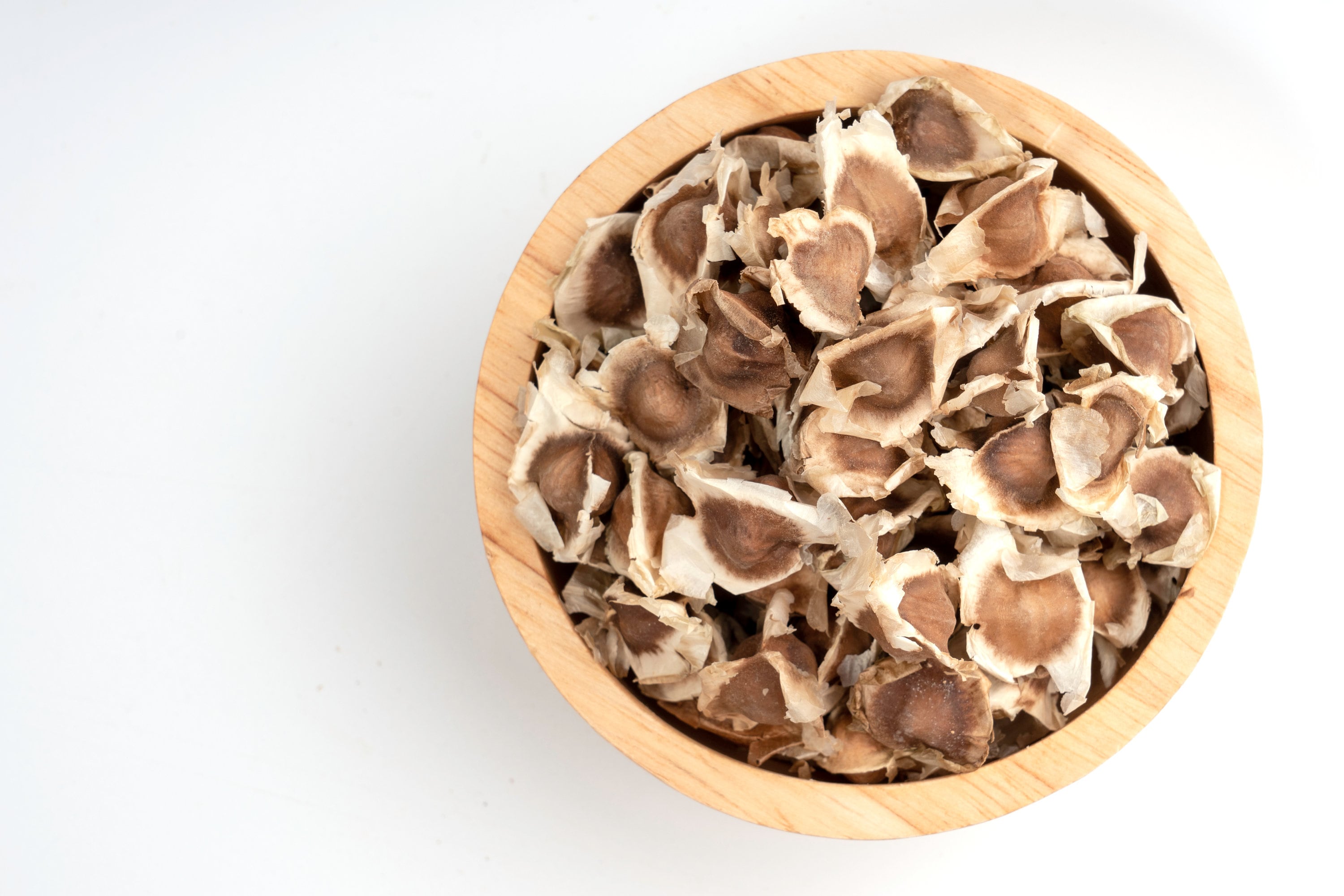 Moringa Seeds Drumstick Seeds Malunggay Moringa Tree Moringa Oleifera