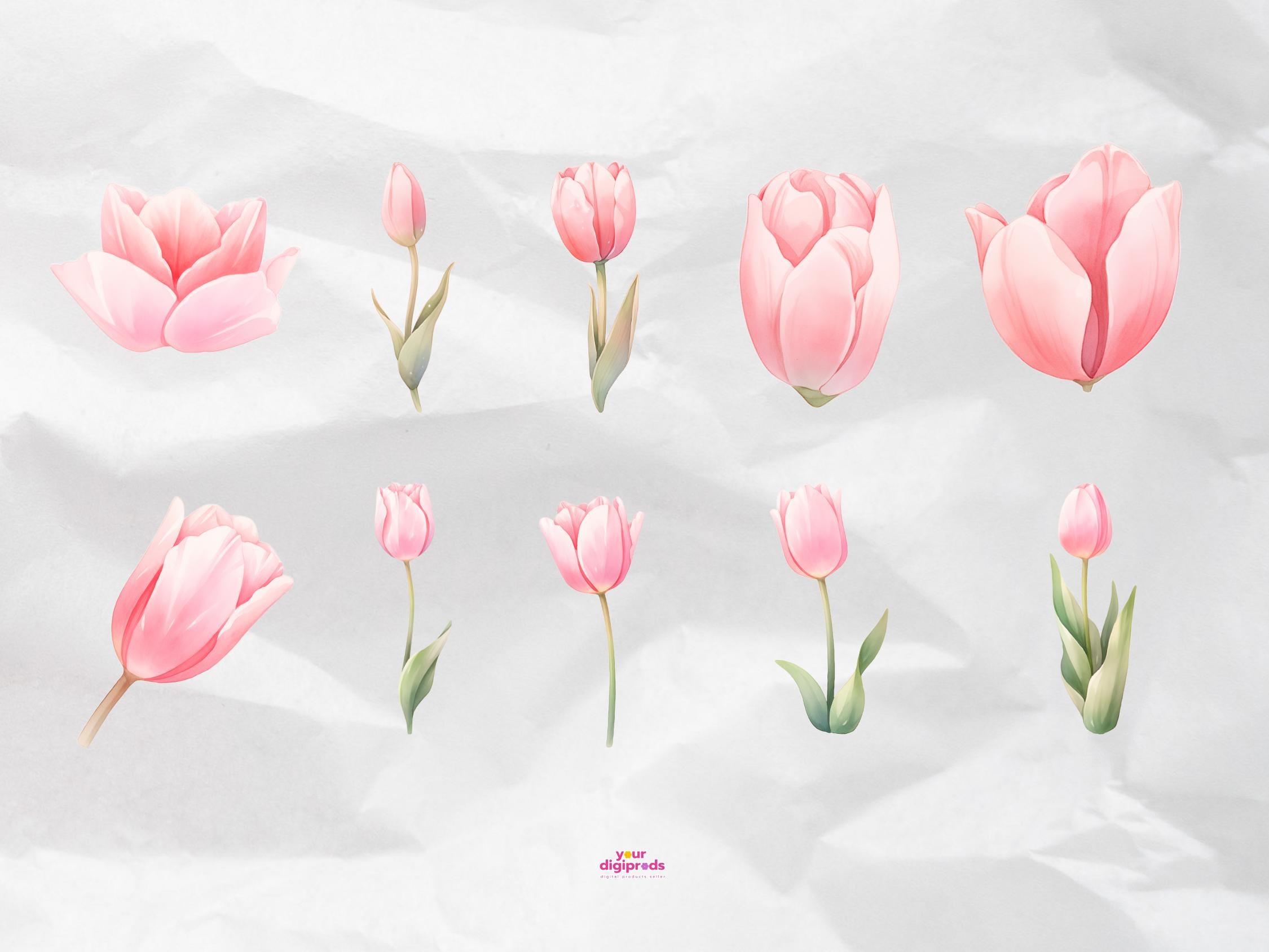 Watercolor Pink Tulips Clipart PNG Transparent Background With ...