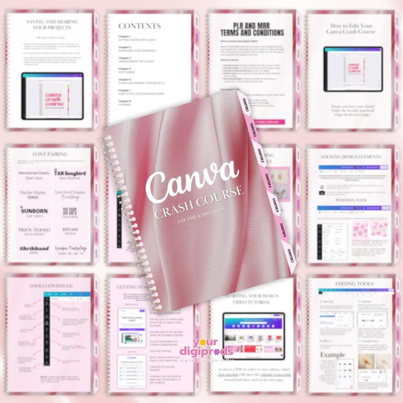 Canva Crash Course with PLR & MRR - Learn and Earn Private Label Rights Master Resell Rights Canva Basics image 3