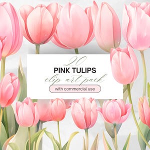 Watercolor Pink Tulips Clipart PNG Transparent Background with Commercial Use, Pink Tulip Flower Clip Art Graphic PNG Bundle
