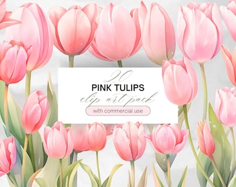 Watercolor Pink Tulips Clipart PNG Transparent Background with Commercial Use, Pink Tulip Flower Clip Art Graphic PNG Bundle