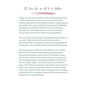 Cleaner Living Guide: Natural Wellness eBook for Healthier Home (Digital Download) image 7