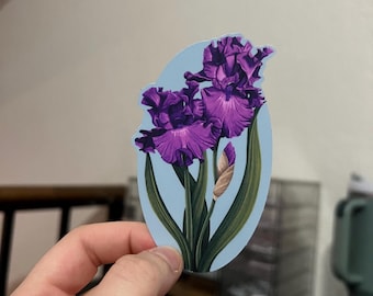 Iris Sticker