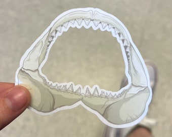 Shark Jaw - Laminated Vinyl Sticker - Hand Made - Hand Drawn