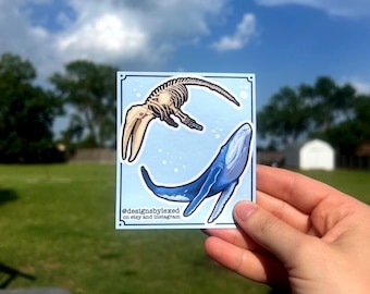 Whale and Skeleton - Laminated Vinyl Stickers