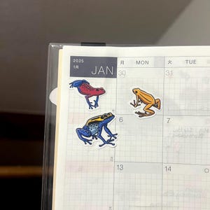May include: Three frog stickers on a calendar page. The frogs are blue and yellow, red and black, and yellow. The calendar page is for January 2025.
