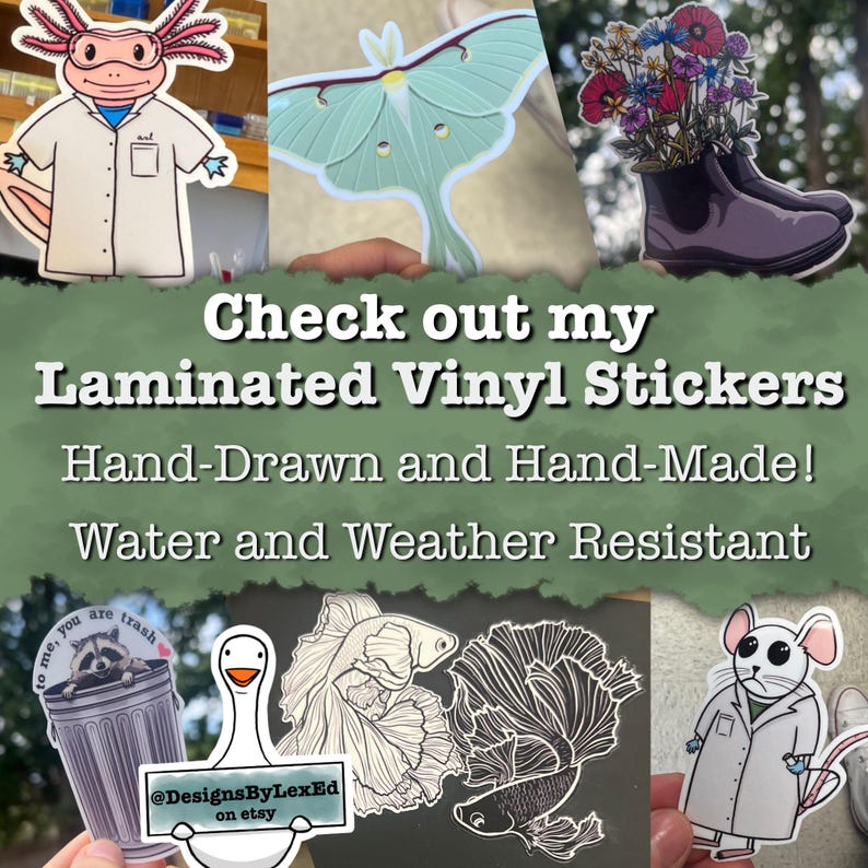 May include: A collection of hand-drawn and hand-made laminated vinyl stickers. The stickers feature a variety of designs, including a cartoon axolotl wearing a lab coat, a green luna moth, a bouquet of flowers in a pair of boots, a white and black betta fish, a goose, a raccoon in a bin, and a mouse wearing a lab coat. The text "Check out my Laminated Vinyl Stickers" is displayed in the centre of the image. The text "Hand-Drawn and Hand-Made! Water and Weather Resistant" is displayed below the text "Check out my Laminated Vinyl Stickers". The text "to me, you are trash" is displayed on a sticker featuring a raccoon in a bin. The text "@DesignsByLexEd on etsy" is displayed on a sticker featuring a goose.