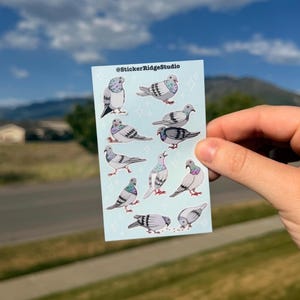 Pode incluir: Uma folha de autocolantes azul-claro com dez ilustrações individuais de pombos cinzentos em várias poses, incluindo de pé, a caminhar e a comer. O texto @StickerRidgeStudio está impresso no topo, acompanhado por pequenas estrelas brancas.