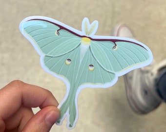 Luna Moth - Laminated Vinyl Sticker - Hand Made - Hand Drawn