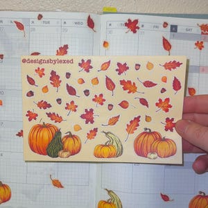 May include: A sheet of fall-themed stickers featuring pumpkins, gourds, and various autumn leaves in shades of orange, red, and yellow. The stickers are on a cream-colored background. The text "@designsbylexed" is visible.