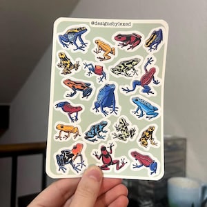 May include: A sheet of colourful frog stickers with a variety of colours and patterns. The stickers are on a light green background with the text "@designsbylexed" in the top right corner.