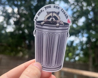 Waschbär in der Mülltonne Sticker