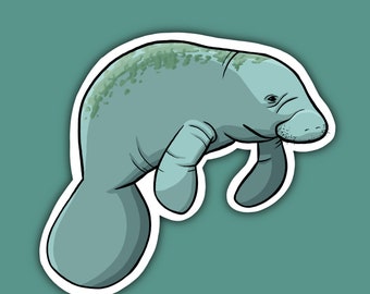 Manatee - Laminierter Vinyl-Aufkleber - Handgemacht - Handgezeichnet