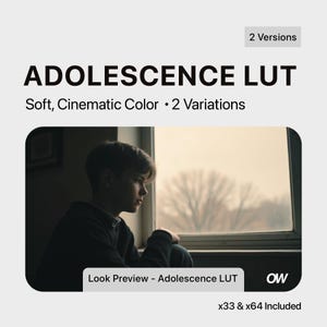 Op de afbeelding: Een foto van een jong persoon die uit een raam kijkt. De afbeelding wordt gebruikt om een LUT-filter voor fotobewerking te bekijken. De tekst "Look Preview - Adolescence LUT" staat onderaan de afbeelding. De tekst "x33 & x64 Included" staat onderaan de afbeelding.