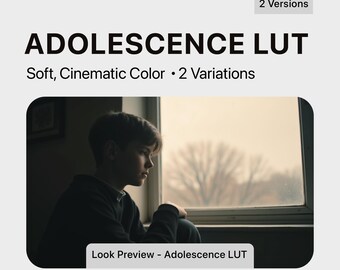May include: A photo of a young person looking out a window. The image is used to preview a LUT filter for photo editing. The text "Adolescence LUT" is visible in the image.