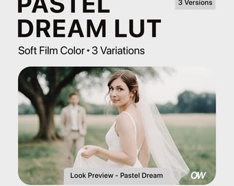 May include: A bride in a white wedding dress and veil stands in a field with a man in a suit behind her. The image is a preview of a pastel dream LUT, which is a color grading preset for photographers and videographers. The text "Look Preview - Pastel Dream" is at the bottom of the image.