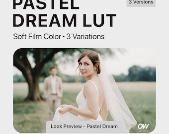 May include: A bride in a white wedding dress and veil stands in a field with a man in the background. The text "Look Preview - Pastel Dream" is at the bottom of the image. The text "3 Versions" and "x33 & x64 Included" are also included in the image.
