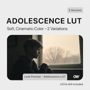Adolescence Film Look LUT – Soft Cinematic Nostalgia for Panasonic V-Log