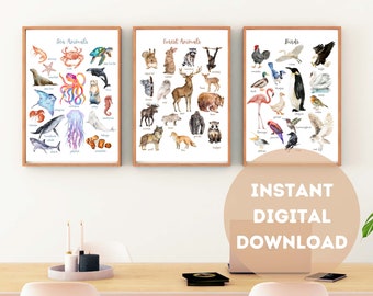 Set of 3 Animals Educational Poster (Sea, Forest, Birds), Beautiful Watercolor Wall Art, Homeschool Charlotte Mason, DIGITAL DOWNLOAD