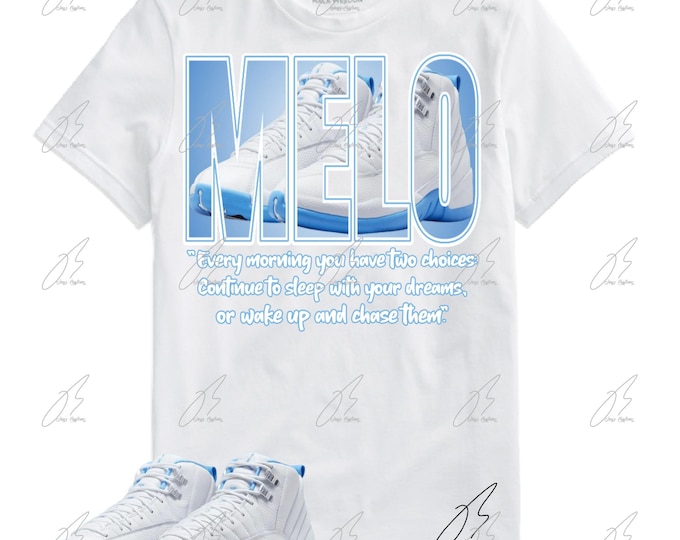 2P(3) T-Shirt Match Jordan 12 Melo