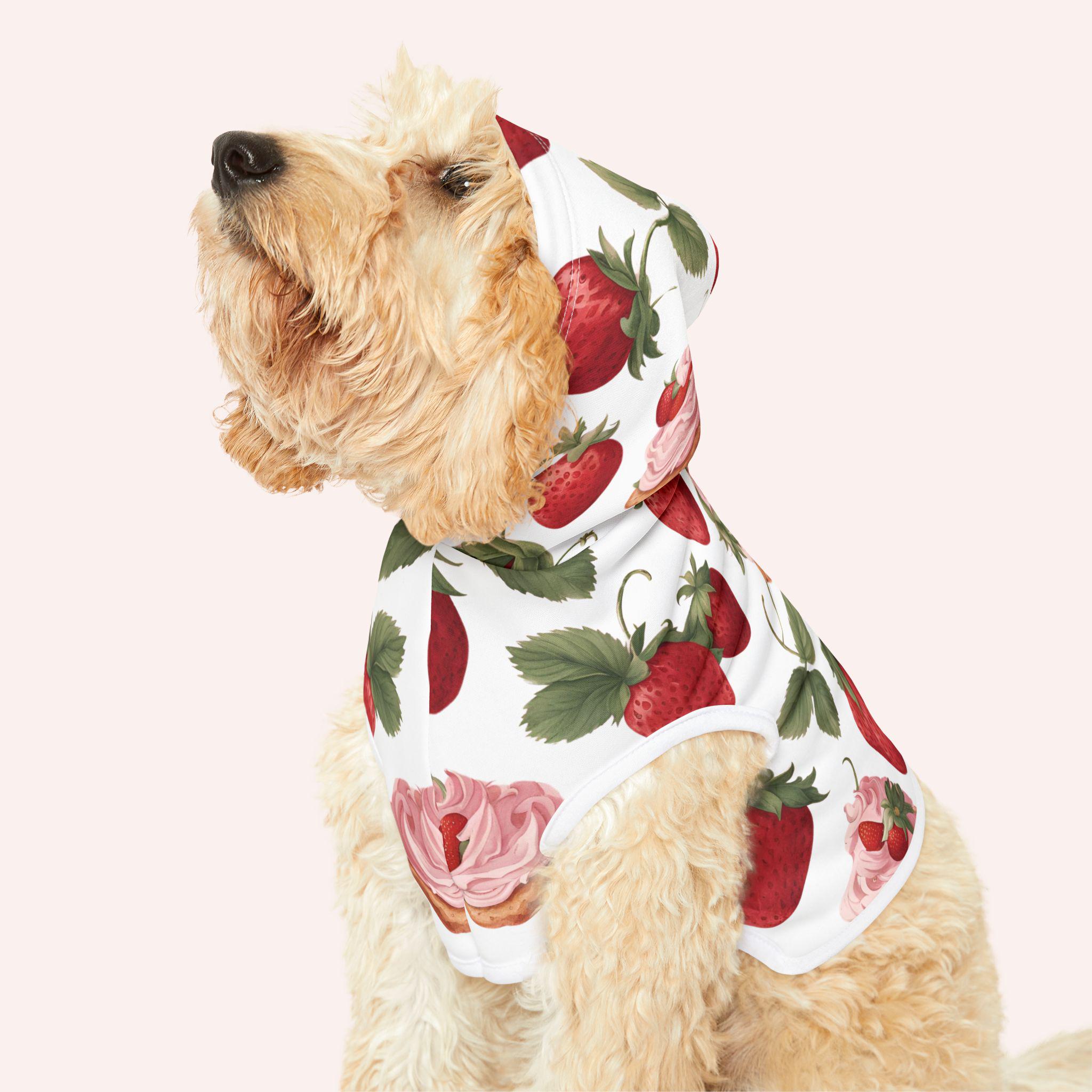 Hoodie Petsmart Small Dog Sweaters Strawberry Shortcake Pet Hoodie Red  Berry Dog Sweatshirt Cute