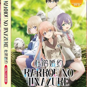 DVD Anime Kakkou No Iinazuke Complete Series (1-24 End) English Dubbed, All Region