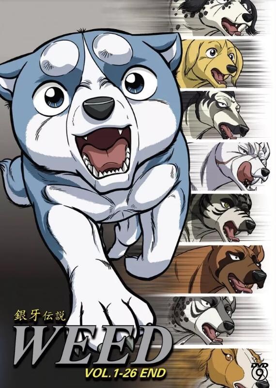 DVD Anime Ginga Densetsu Weed Complete TV Series Vol.1-26 DVD Anime Ginga Densetsu Weed Complete TV Series Vol.1-26