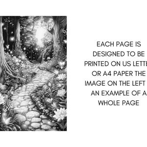 Magical Enchanted Forest Coloring Book Pages for Adults, Fairytale Fantasy Garden Forest, Coloring Sheets Printable, Instant Download PDF